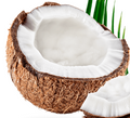 COCONUT Cream by the case (10 kg CASE)