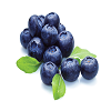 BLUEBERRY JAM: 3 KG JAR
