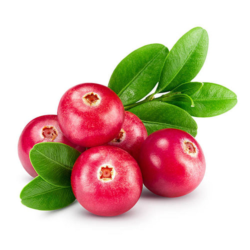 CRANBERRY Sour powders (1 kg bag)