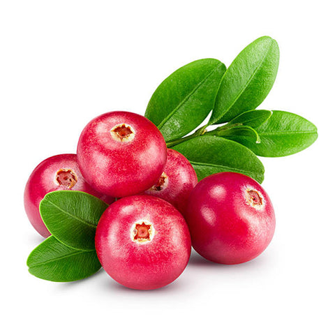CRANBERRY Sour powders (1 kg bag)
