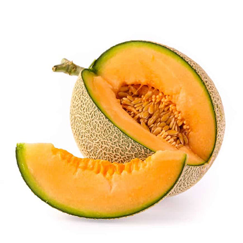 CANTALOUPE Syrup (2.5kg bottle)