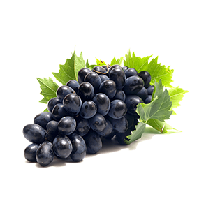 GRAPE Syrup (2.5kg bottle)