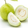 WHITE GUAVA Syrup (2.5kg bottle)